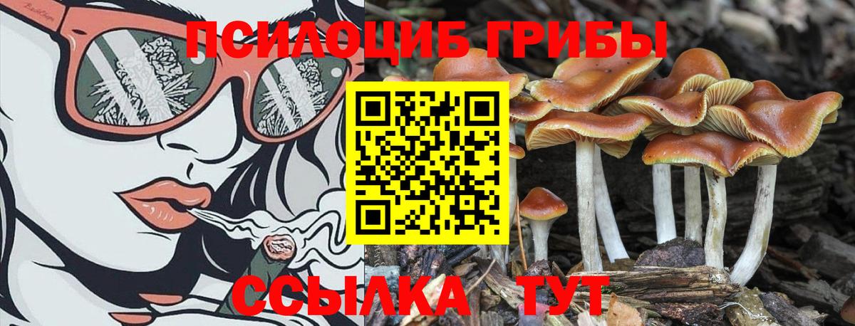 Галлюциногенные грибы GOLDEN TEACHER Солнечногорск